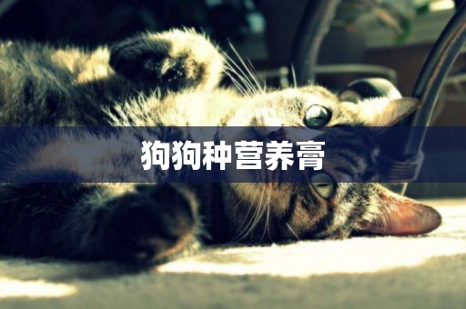 狗狗種營養膏