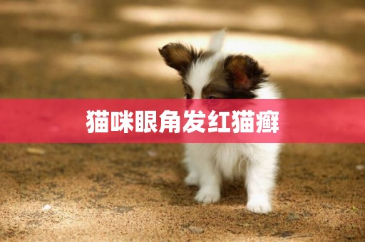 貓咪眼角發紅貓癬