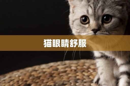 貓眼睛舒服
