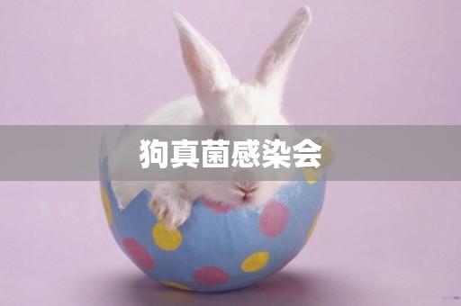 狗真菌感染會