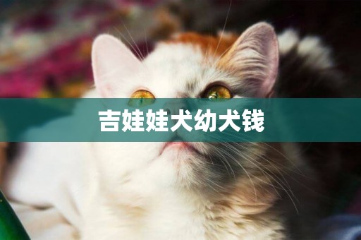 吉娃娃犬幼犬錢