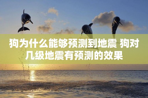 狗為什么能夠預測到地震 狗對幾級地震有預測的效果