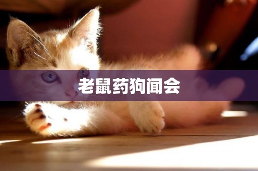 老鼠藥狗聞會