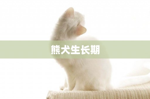 熊犬生長期