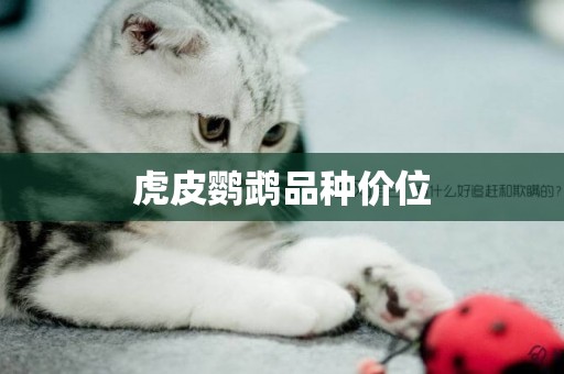 虎皮鸚鵡品種價位