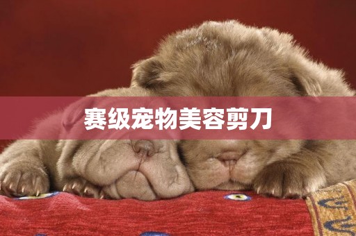 賽級寵物美容剪刀