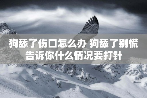 狗舔了傷口怎么辦 狗舔了別慌告訴你什么情況要打針