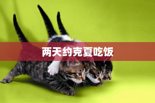 兩天約克夏吃飯