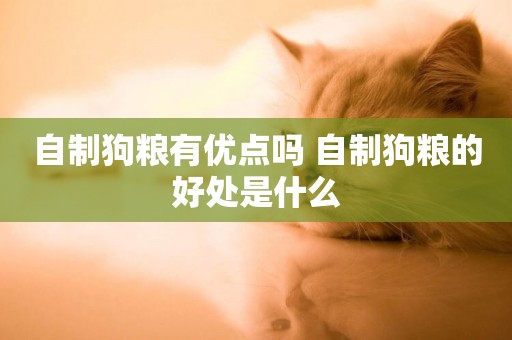 自制狗糧有優點嗎 自制狗糧的好處是什么 自制狗糧有優點嗎 自制狗糧的好處是什么