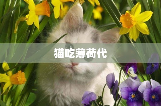貓吃薄荷代