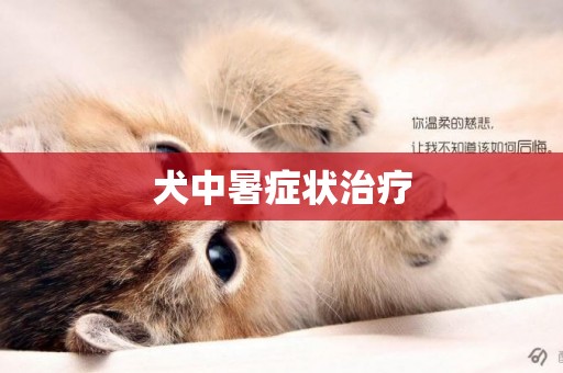犬中暑癥狀治療