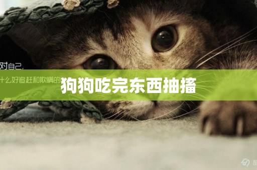 狗狗吃完東西抽搐