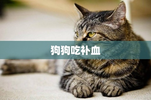 狗狗吃補血