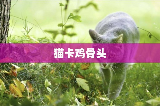 貓卡雞骨頭