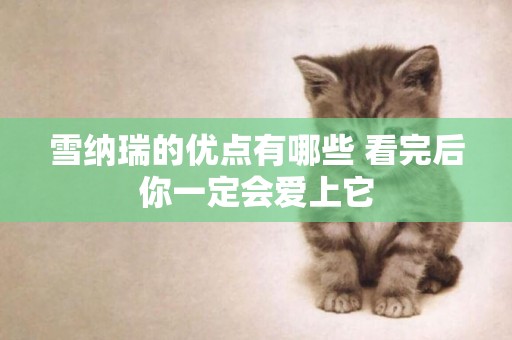 雪納瑞的優點有哪些 看完后你一定會愛上它