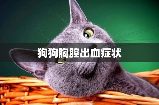 狗狗胸腔出血癥狀