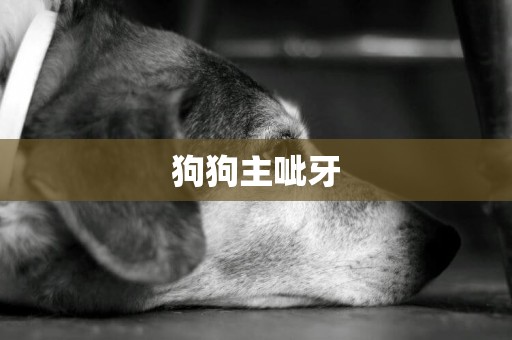 狗狗主呲牙