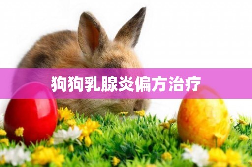 狗狗乳腺炎偏方治療