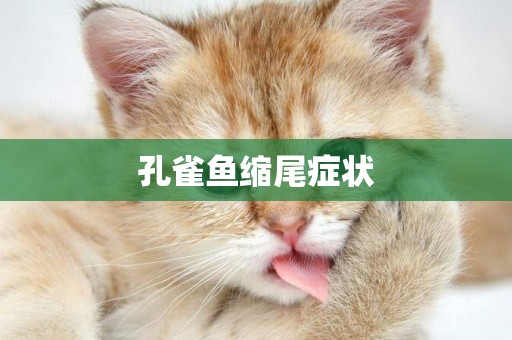 孔雀魚縮尾癥狀