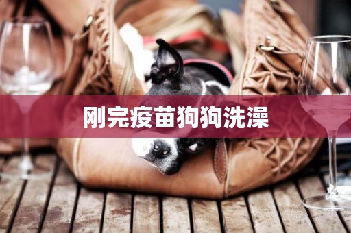 剛完疫苗狗狗洗澡