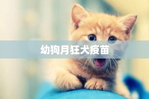 幼狗月狂犬疫苗