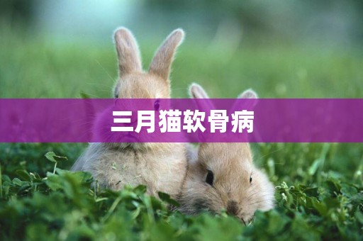 三月貓軟骨病
