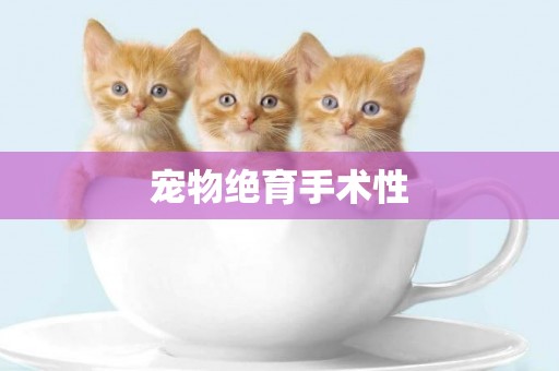 寵物絕育手術性
