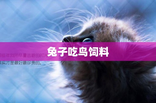 兔子吃鳥飼料