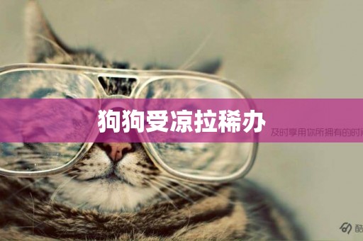 狗狗受涼拉稀辦