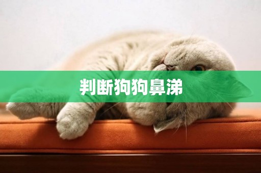 判斷狗狗鼻涕