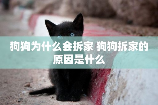狗狗為什么會拆家 狗狗拆家的原因是什么