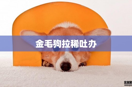 金毛狗拉稀吐辦