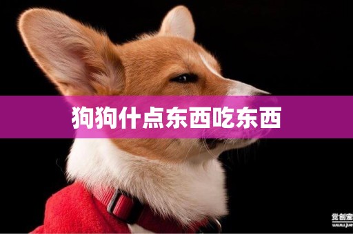 狗狗什點東西吃東西