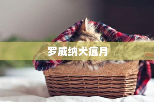 羅威納犬瘟月