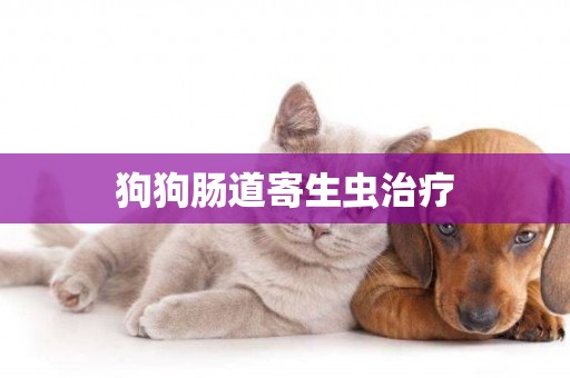 狗狗腸道寄生蟲治療