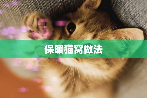 保暖貓窩做法