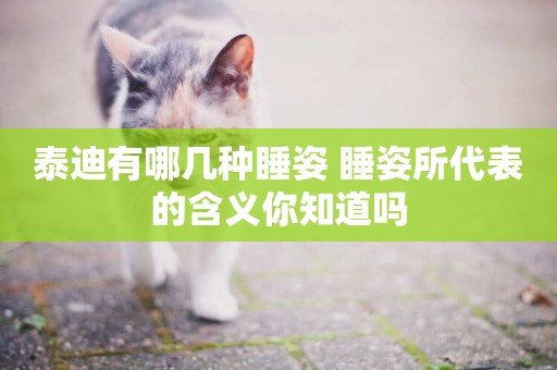 泰迪有哪幾種睡姿 睡姿所代表的含義你知道嗎