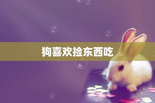 狗喜歡撿東西吃
