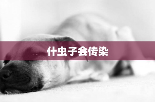 什蟲子會傳染
