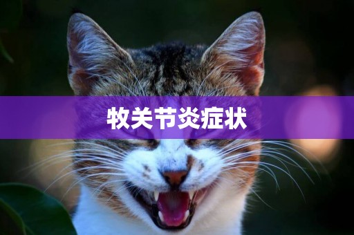 牧關節炎癥狀