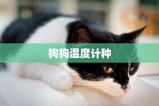 狗狗溫度計種