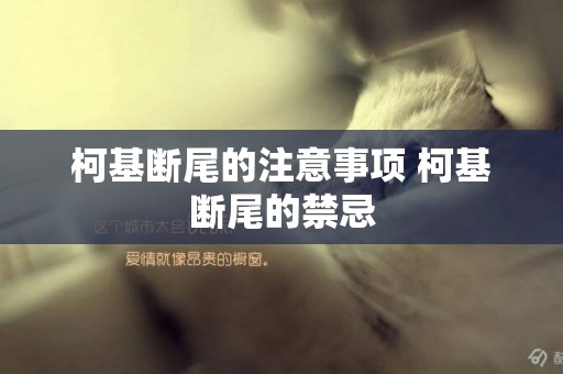 柯基斷尾的注意事項 柯基斷尾的禁忌