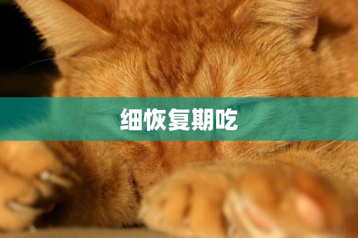 細恢復期吃