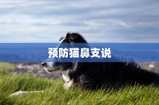 預防貓鼻支說