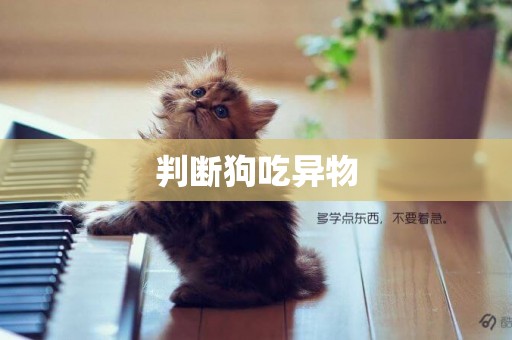 判斷狗吃異物