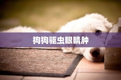 狗狗驅蟲眼睛腫