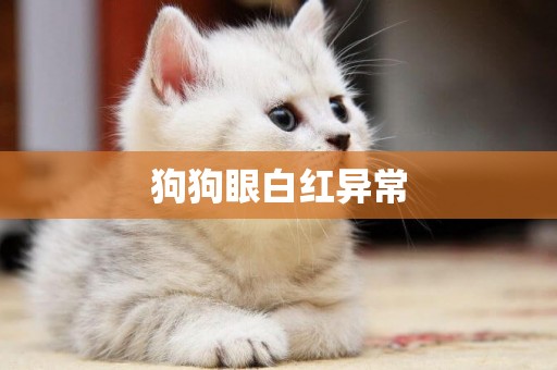 狗狗眼白紅異常