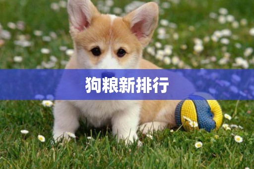 狗糧新排行