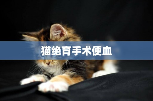 貓絕育手術便血