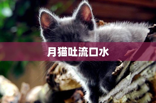 月貓吐流口水